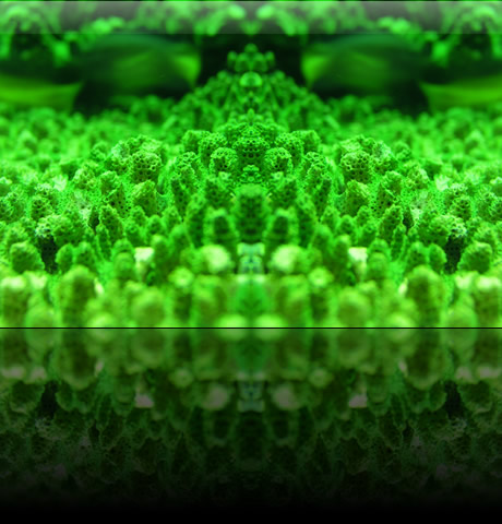 TSʂ̔wi