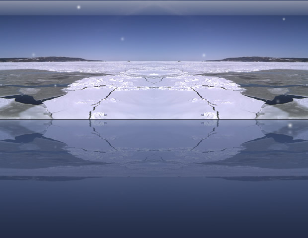 ~EiF̔wi